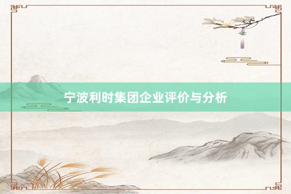宁波利时集团企业评价与分析